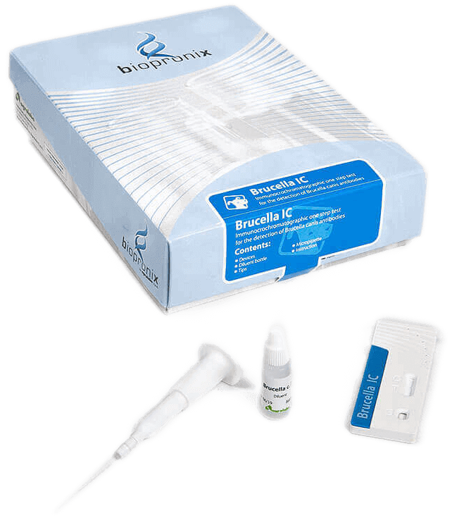 immagine descrittiva kit brucella trasparente test rapidi