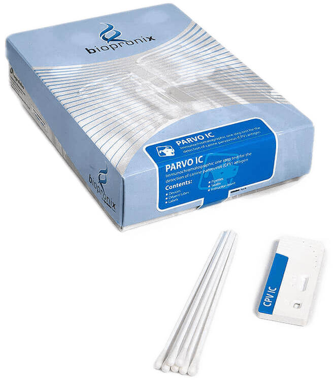 immagine descrittiva kit parvovirus trasparente test rapidi