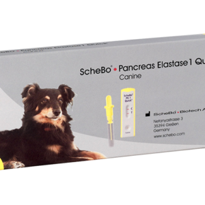 Immagine descrittiva kit Elastasi 1 pancreatica test rapidi