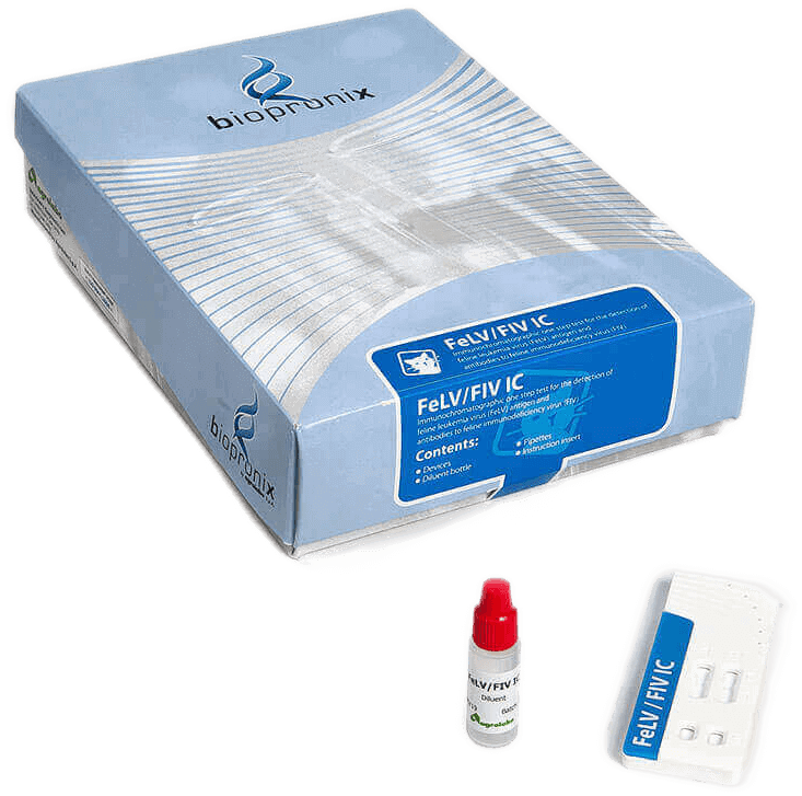immagine descrittiva kit FIV IC test rapidi