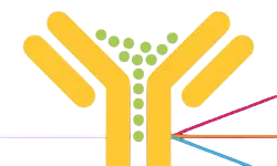 immagine descrittiva, reagenti analizzatori sysmex xt xe, reagenti ematologici sysmex xt1800i, reagenti ematologici sysmex xe2100, reagenti compatibili sysmex xt e xe, reagenti per analizzatori ematologici sysmex